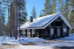 Huilailevi-1