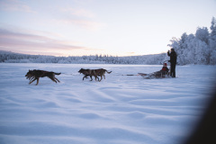 Husky-21